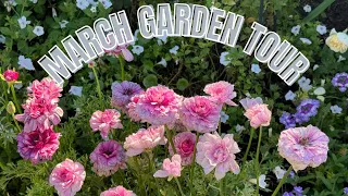 🌸March Garden Tour🌸