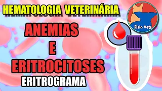 Interpretação do hemograma | Eritrograma (Parte 2) anemias e eritrocitoses - Medicina veterinária