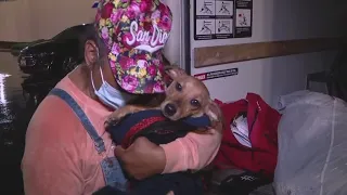 Organization helps rescue, rehome Skid Row's dogs