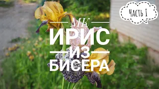 МК Ирис из бисера | Часть I