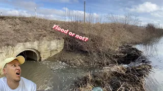 Beaver dam removal || Will this CULVERT absorb the water ?