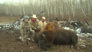 European Bison Estate Hunt in Canada