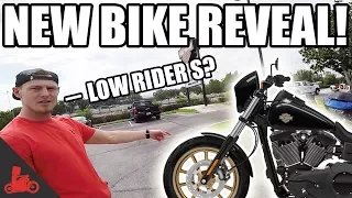 Harley Low Rider S Reveal to the Blockhead Crew!