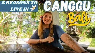 5 reasons to live in CANGGU, BALI | DIGITAL NOMADS PARADISE