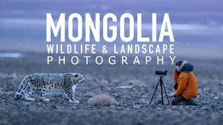 Photographing Snow Leopards & Landscapes in Mongolia