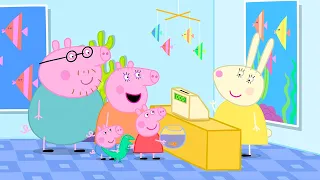 Um Dia no Aquário | Peppa Pig Português Brasil Episódios Completos