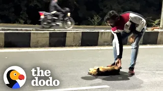 Dog Lying Motionless On Highway Is A Living Miracle | The Dodo