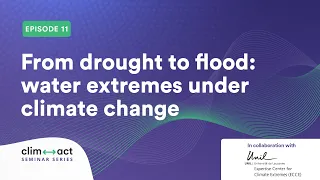 From drought to flood: water extremes under climate change