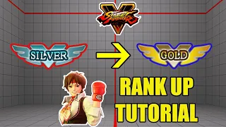 SFV Silver to Gold! Rookie to Diamond Sakura Tutorial Part 3!