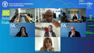 FAO SIDS Dialogue: Outcomes of UNFCCC COP27 and implications for Small Island Developing States