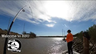 Catching SHEEPSHEAD With SMALL LIVE SHRIMP | 2021 River Fishing | NON STOP ACTION