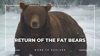 Return of the Fat Bears  | More to Explore