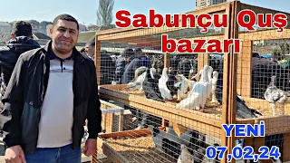 Sabunçu Quş Bazarı 7 aprel 2024  #pigeonsazerbaijan #qusbazari #sabuncuqusbazari