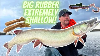 Fall Musky Fishing In Dirty Water - Crazy Action!!