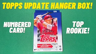 2023 Topps Update Series Baseball Hanger Box Opening Review! TOP Rookie Pull NEW Retail Sports Cards
