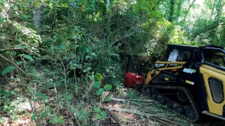 Forestry Mulching An Overgrown Backyard Creek