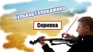 Виртуоз / Скрипка Артем Реутов  /  профессионал / Gelendzhik