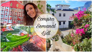 Compra Semanal de 105€ Lidl + Encontramos el Municipio Ideal para Emigrar! 🏡