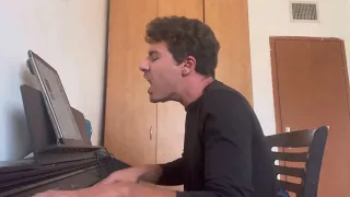 Summertime Sadness - Lana Del Rey ~ cover by Sean Biopcik