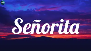 Shawn Mendes - Señorita (Lyrics) Sean Paul, Passenger, Clean Bandit...