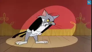 Tom And Jerry / Episode - The Cat Above ,The Mouse Below 1964 / Cartoons For Kids