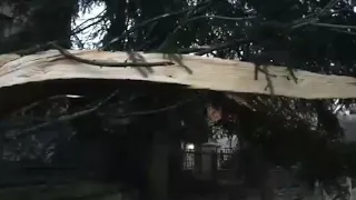 У Львові на вул. Літній впало дерево та пошкодило будинок