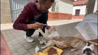 Abdo provides treatment to kittens. A mama cat attacked him to protect her kittens.