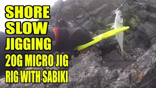 Shore Slow Jigging on a Cliff? JIG with SABIKI Rig...