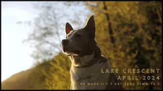 Lake Crescent April 2024 | Canon R6 Mark II + 50mm 7artisans T2.0 Cine Lens