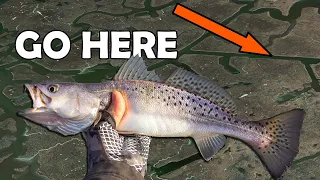 Find The Best Dead End Canal For Winter Speckled Trout With This Guide