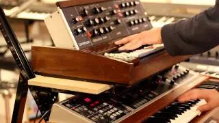 Minimoog & Memorymoog