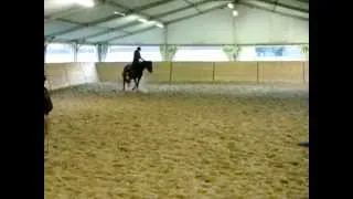 pauline et pirouette.wmv