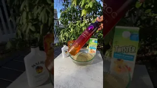 Viral Champagne Punch