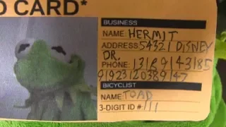 Kermits Fake Identity