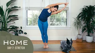 Home - Day 7 - Stretch  |  30 Days of Yoga