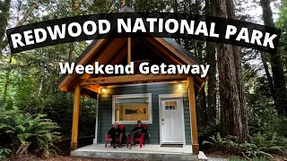 AMAZING Redwood National Park weekend. Stay in a TINY HOUSE, hike and see a lighthouse.