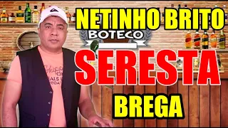 SERESTA BREGA DE LUXO NO BOTECO NETINHO BRITO AO VIVO Canal Familia Brito