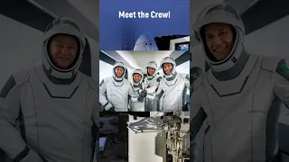 Meet SpaceX's Ax-3 Crew! #spacex #axiom3 #iss