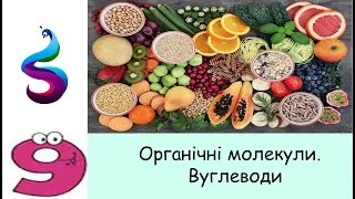 Огранічні молекули . Вуглеводи.