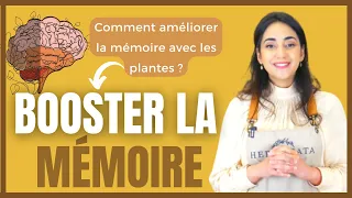 Améliorer la mémoire et la concentration avec les plantes - Conseils et solutions naturelles