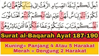 Tadarus Surat al-Baqarah Ayat 187-190, Pahami Panjang & Dengung Agar Lancar Baca al-Quran