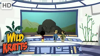 Wild Kratts |Clip|Komodo Dragon Adventur