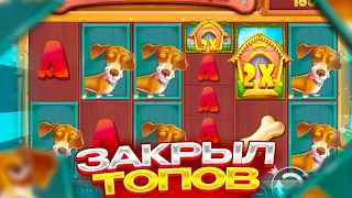 ЗАКРЫЛ ТОПОВЫХ СОБАК В THE DOG HOUSE MEGAWAYS И СЛОВИЛ ЗАНОС НА 300.000Р ( ШОК! )