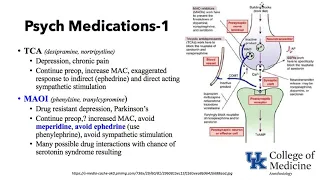 Keyword Review 2019 | Pysch & Anesthesia - (Dr. Schell)