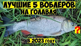 ТОП 5 Лучшие воблеры на ГОЛАВЛЯ в 2023 году! Ловля Голавля на Спиннинг! Рыбалка на голавля! Голавль