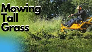 Mowing Tall Grass | Overgrown Lot