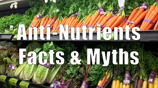 Anti-nutrients Facts & Myths (700 Calorie Meals) DiTuro Productions