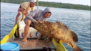 Fishing in an unexpected outskirt spot inhabited by a flock of mosso baboons grouper