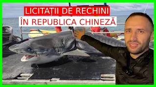 LICITAȚII de TON și RECHINI în Republica CHINEZĂ