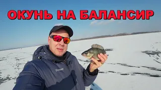 ОКУНЬ на Балансир 🐬🐬🐬 Fishing Video